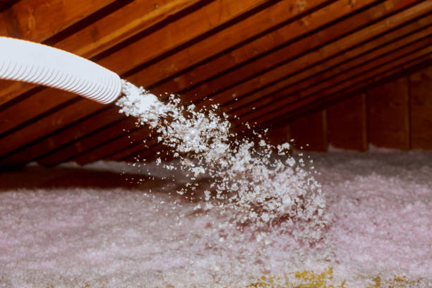 Best Eco-Friendly Insulation in Hialeah Gardens, FL