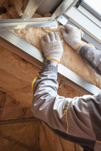 Best Spray Foam Insulation in Hialeah Gardens, FL