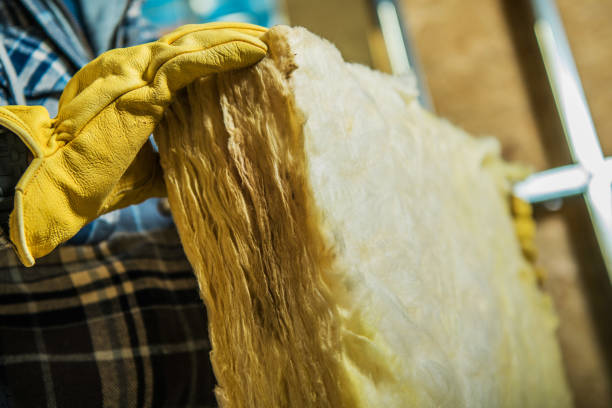 Best Energy Efficiency Insulation in Hialeah Gardens, FL
