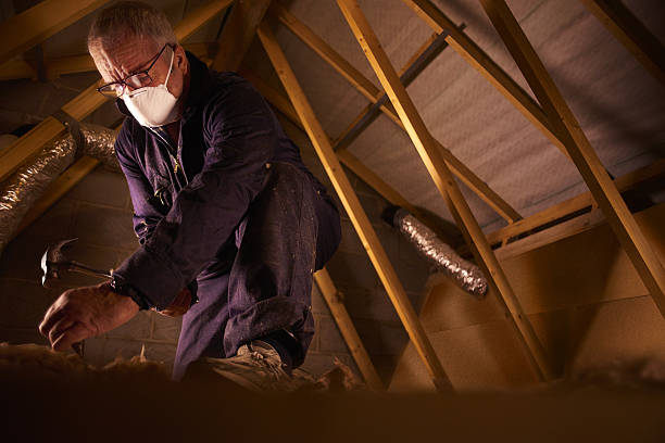Types of Insulation We Offer in Hialeah Gardens, FL
